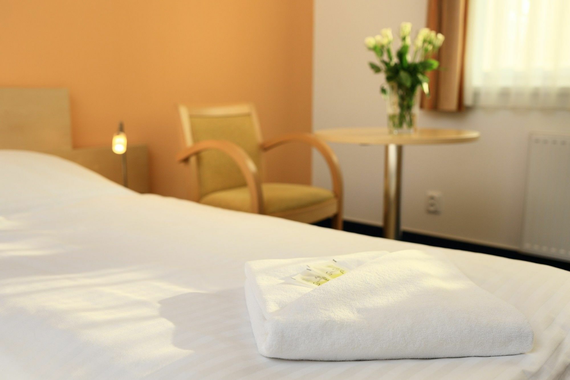 Penzion Krumlov - Massage Studio Český Krumlov Exteriör bild